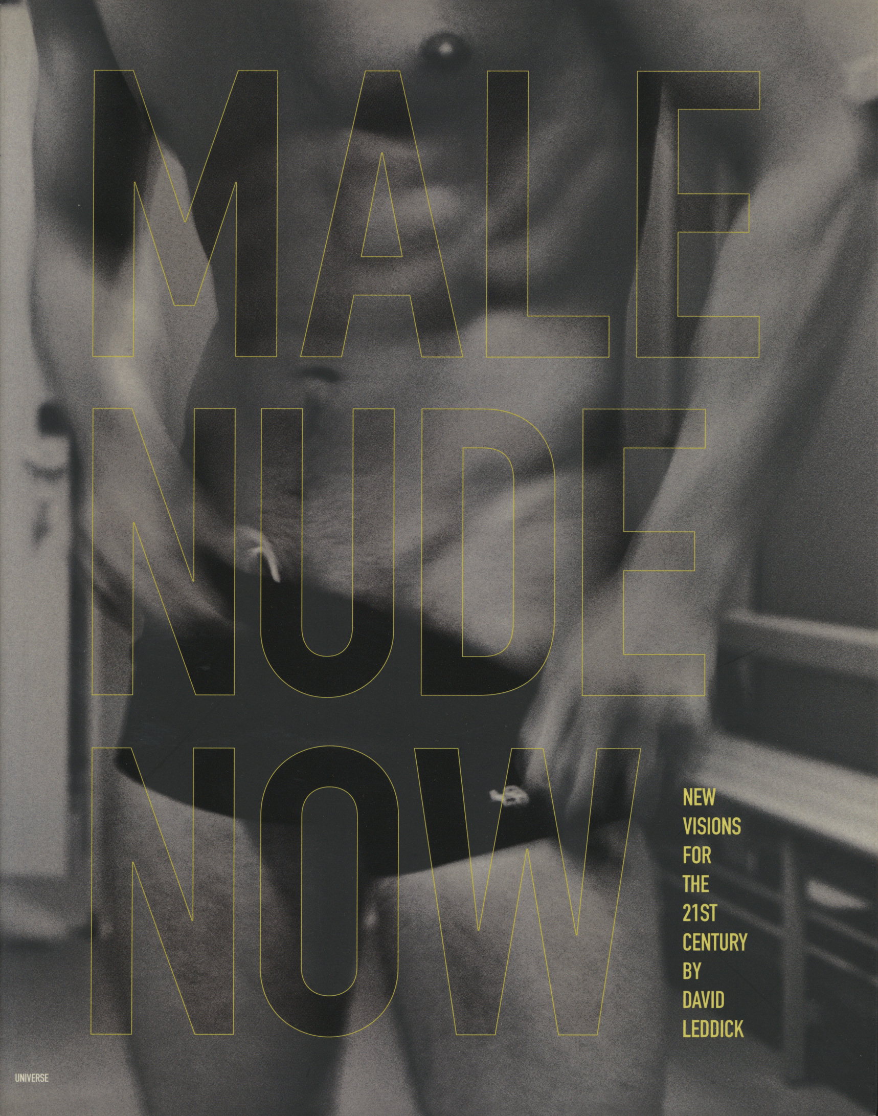 DAVID LEDDICK Male Nude Now New Visions For The 21st Century PB