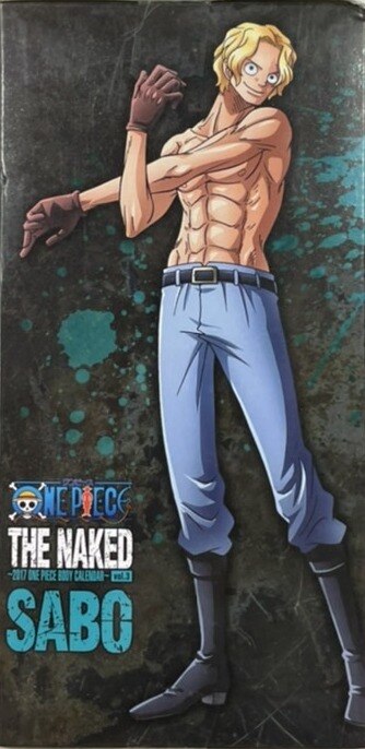 Banpresto The Naked One Piece Body Calendar One Piece Sabo Green