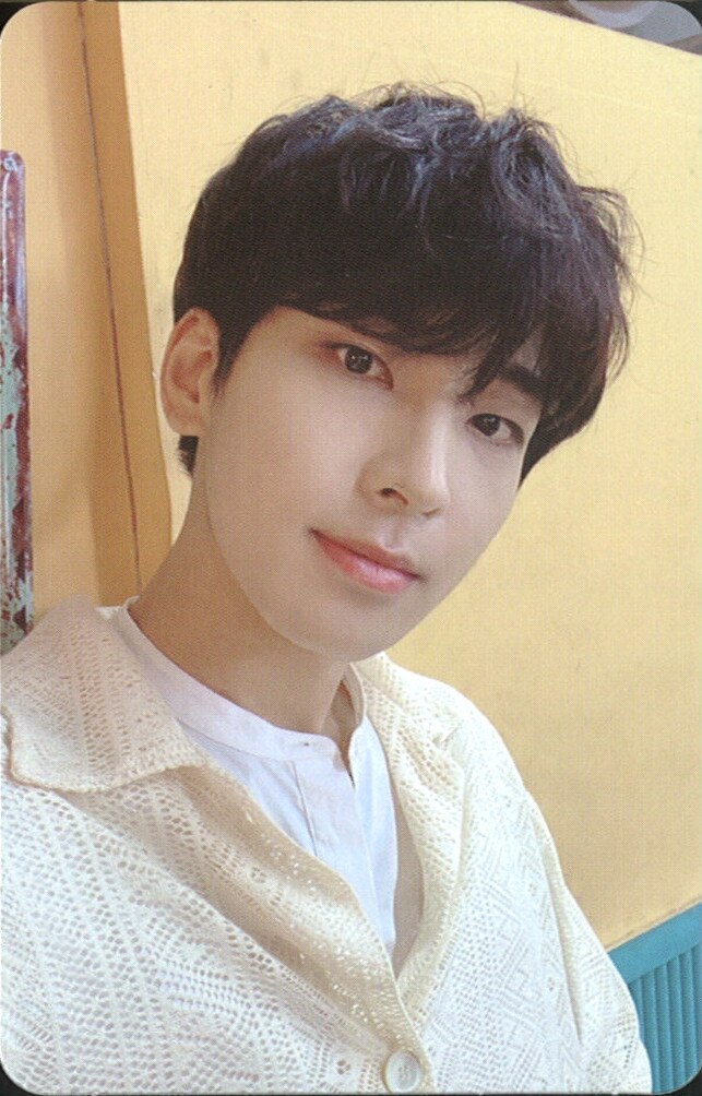 SEVENTEEN Heng garae WONWOO トレーディングカード NET ありある まんだらけ MANDARAKE