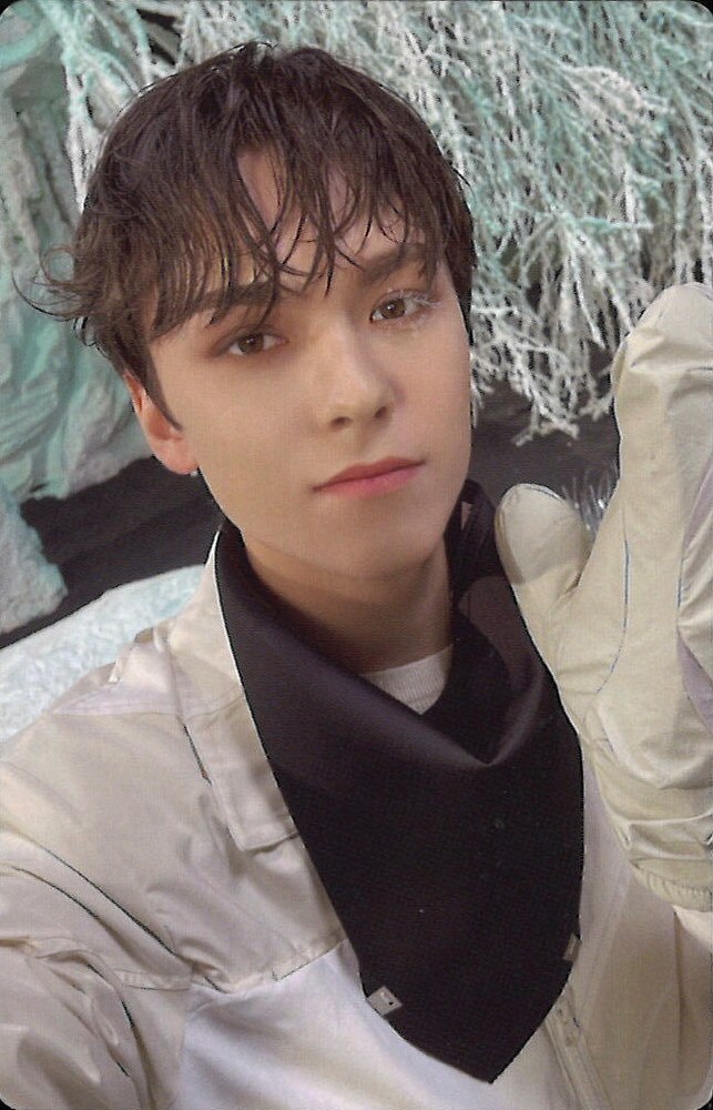 SEVENTEEN SECTOR 17 COMPACT Ver VERNON Trading Card ありある まんだらけ