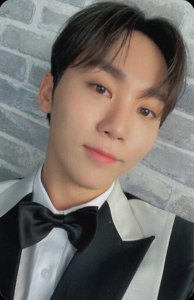 SEVENTEEN FML CARAT ver SEUNGKWAN Trading Card ありある まんだらけ MANDARAKE