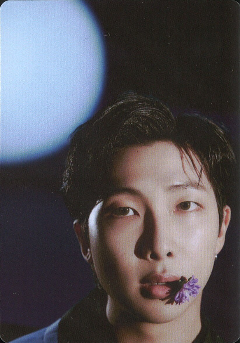 Bts Dalmajung Rm Mini Photocard Mandarake