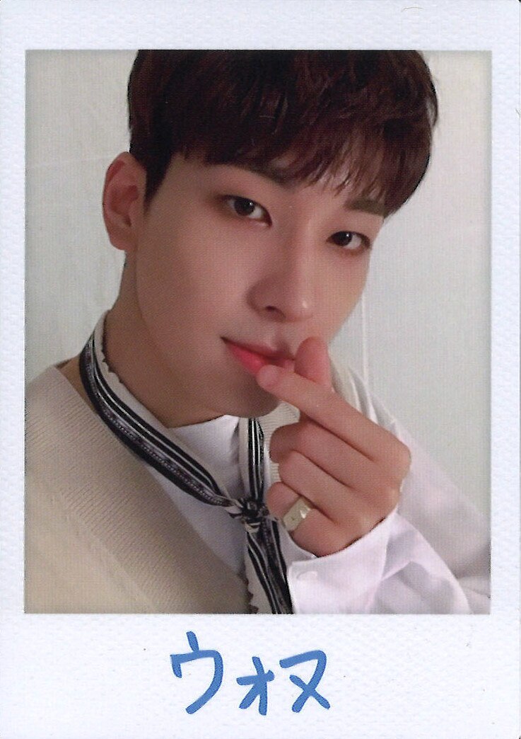 SEVENTEEN 2019 ODE to You IN JAPAN WONWOO Trading Card 0123 ありある