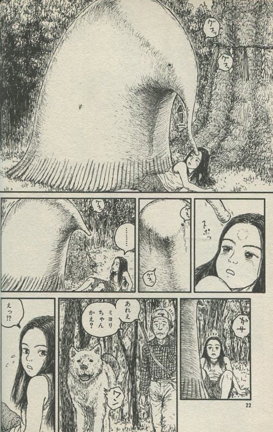小田ひで次 直筆イラストサイン本 ミヨリの森