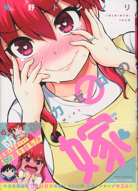 矢野トシノリ 直筆イラストサイン本「防御力ゼロの嫁」