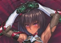 二次元コスパ バカとテストと召喚獣 木下秀吉抱き枕カバー(スムース版)