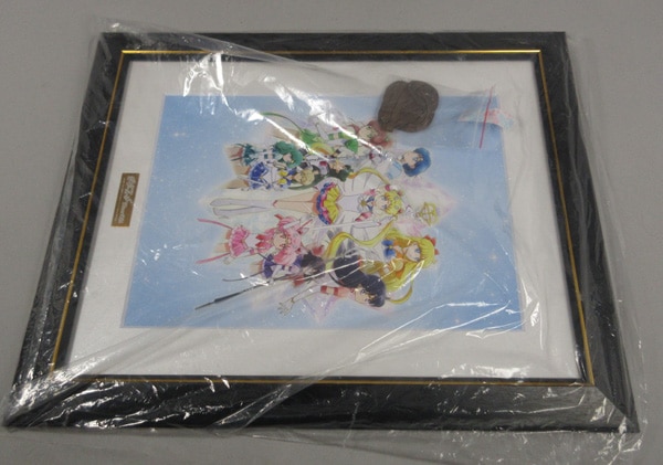Item's picture