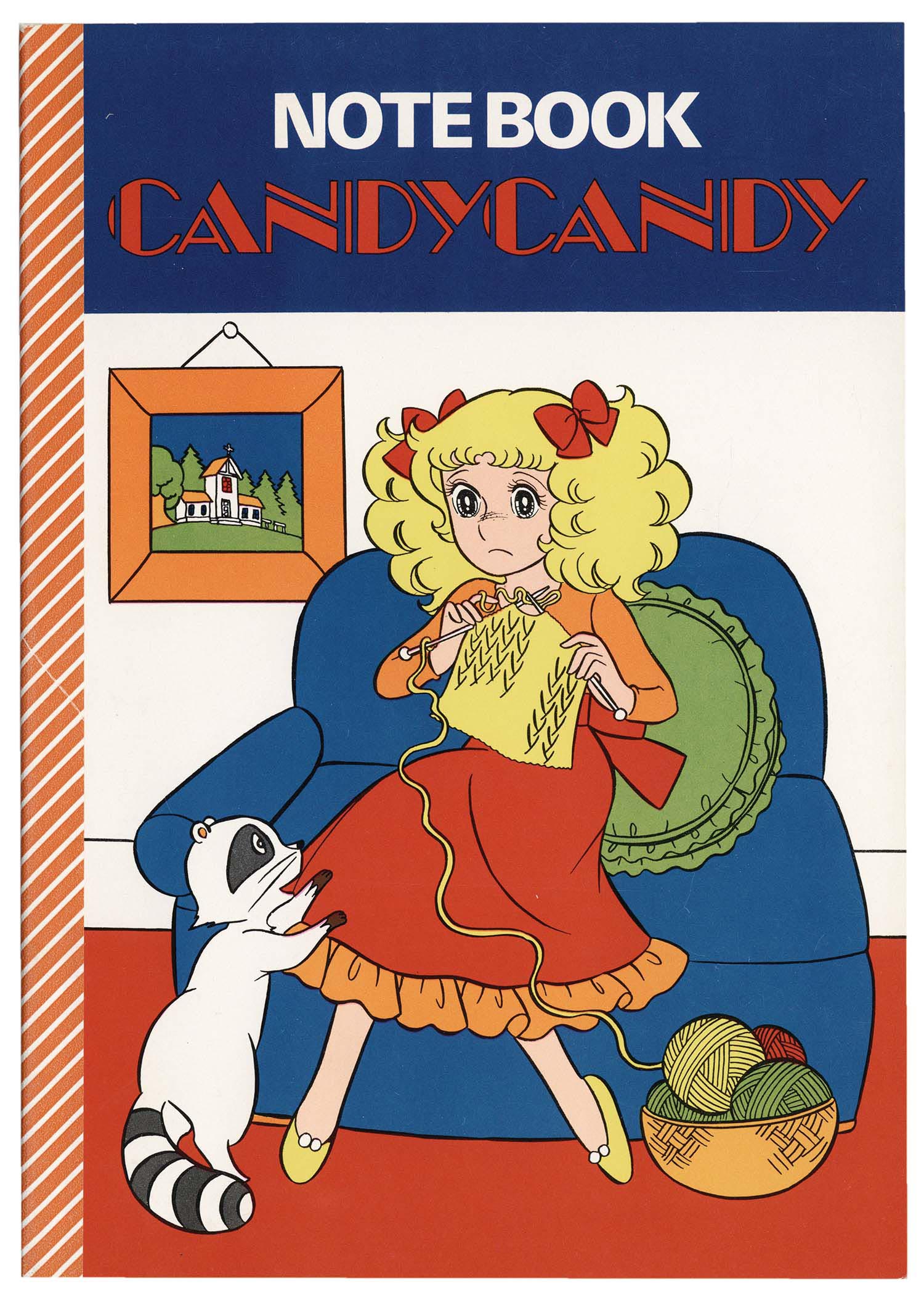 Candy Candy Notebook (knitting)