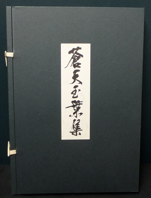 原哲夫カラー複製原画集 「蒼天玉葉集」