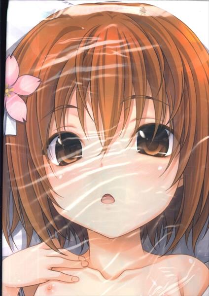 Stray Moon 織田信奈の野望 みやま零 ねね抱き枕カバー