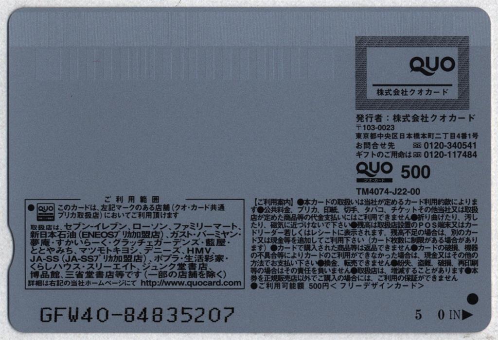 ヤングマガジン 抽プレ品 紗綾 QUOカード