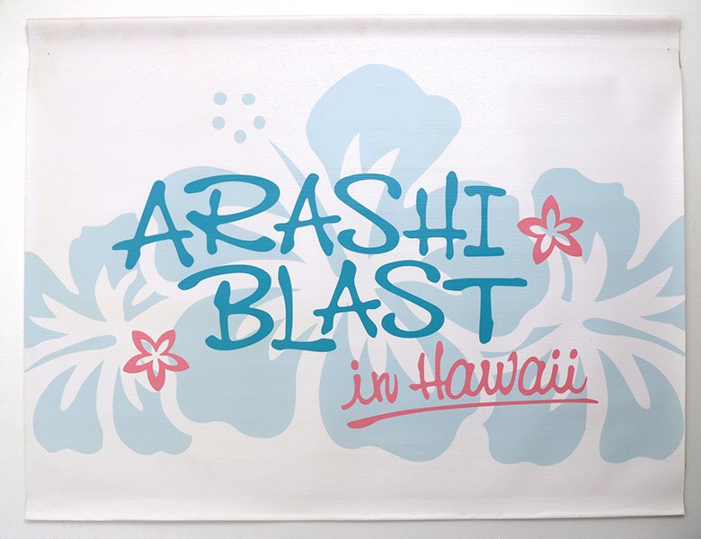 嵐/ARASHI BLAST in Hawaii〈初回限定盤・2枚組〉 嵐☆ARASHI BLAST in