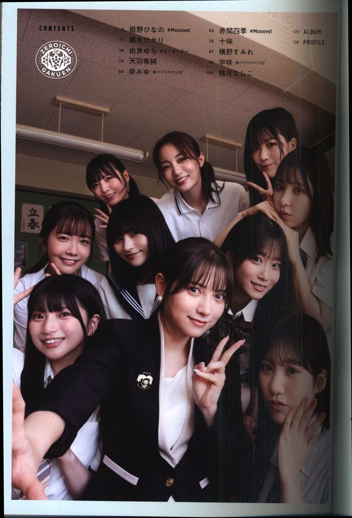 Item's picture