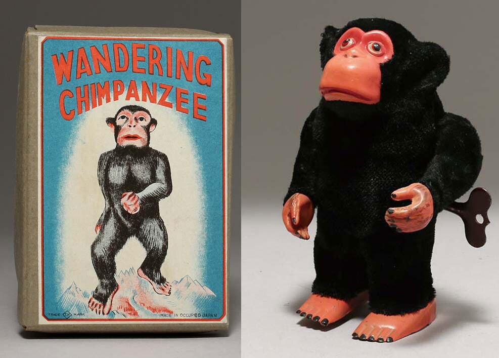 WANDERING CHIMPANZEE with box