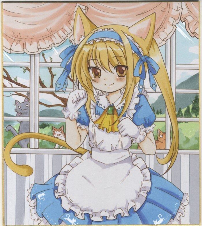 rqdtf151 直筆カラー色紙
