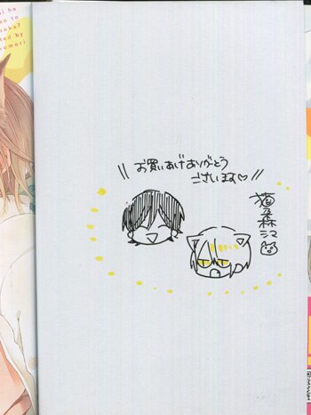 猫乃森シマ 直筆イラストサイン本「猫好き男子はネコ目オトコと恋に