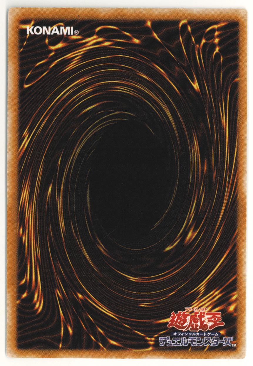 遊戯王 ダークネクロフィア レリーフ ダーク・ネクロフィア{LN-14 