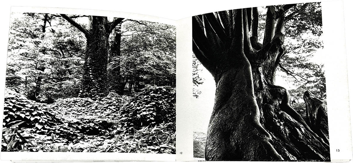 8404] 新山洋一/新山清「木石の詩 新山清遺作集」