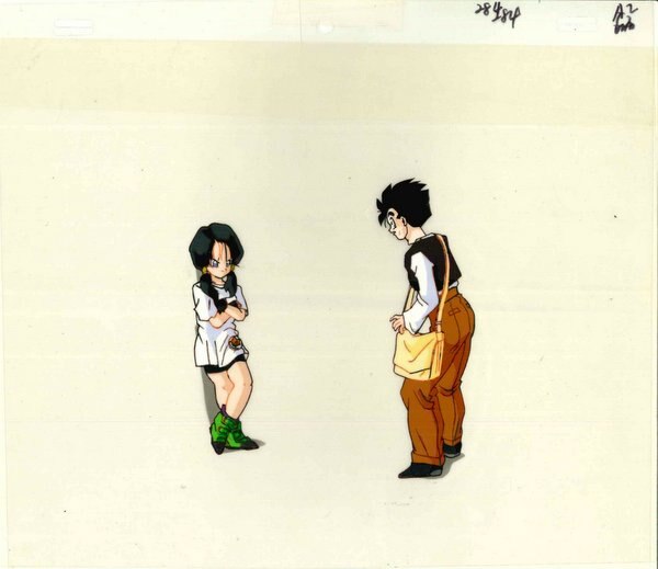 u*s様 ドラゴンボールセル画 ビーデル｜ビーデルさんinナタデ村