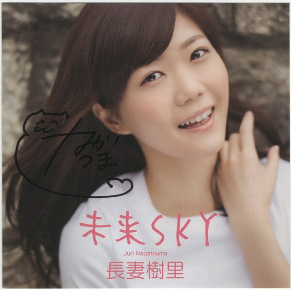 SKY 積み木 直筆サイン入り