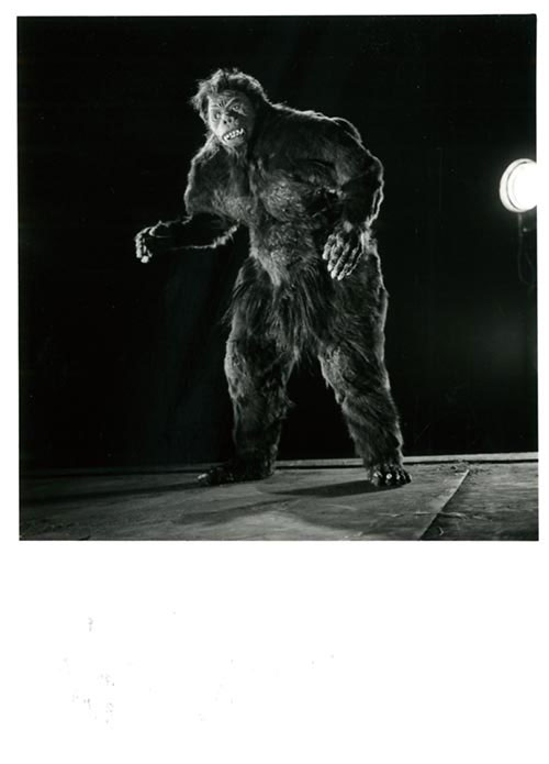 【超貴重マニア版DVD】幻の映画『獣人雪男』コンプリートセットおまけ資料付き 超貴重マニア版DVD】幻の映画『獣人雪男』コンプリートセット