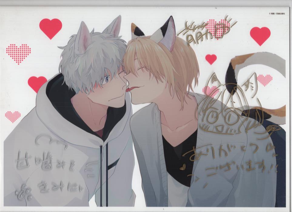 背筋「甘噛みをきみに」A4判直筆サイン入りアクリルプレート　マンガ展　BL 背筋「甘噛みをきみに」A4判直筆サイン入りアクリルプレート