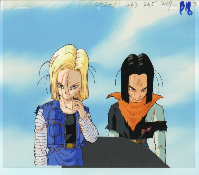 dragon ball Z : Android #17/#18