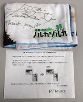 藍井エイル 翼 直筆サイン入り B2サイズ ポスター - メルカリ