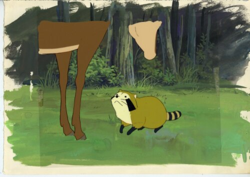 Raccoon Rascal — image 1 of 1