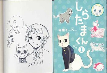 稲葉そーへー 直筆イラストサイン本 しらたまくん 1巻 稲葉そーへー 直筆イラストサイン本 しらたまくん 1巻