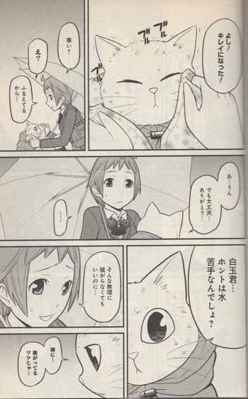 稲葉そーへー 直筆イラストサイン本 しらたまくん 1巻 稲葉そーへー 直筆イラストサイン本 しらたまくん 1巻