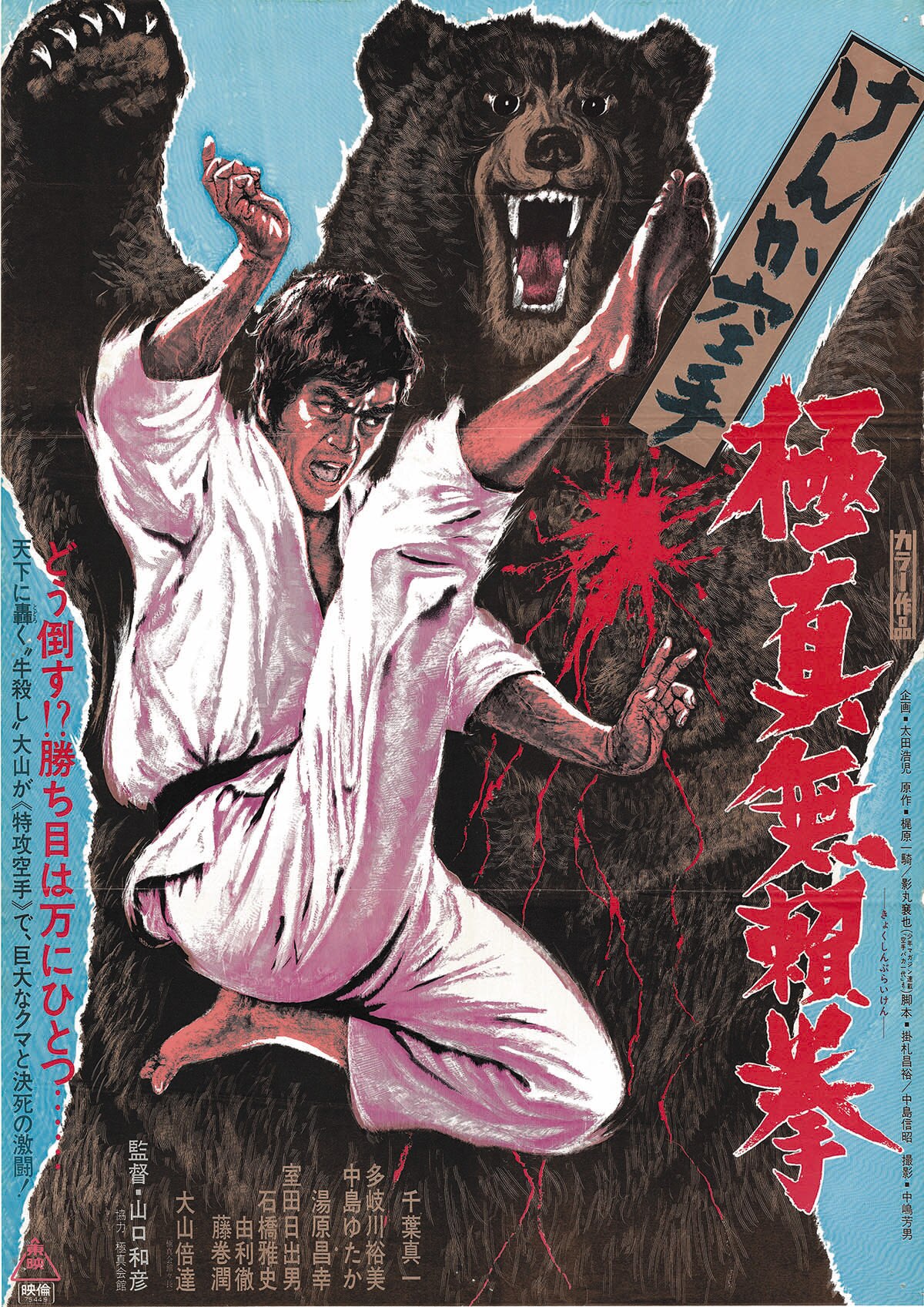 Karate Bearfighter Poster