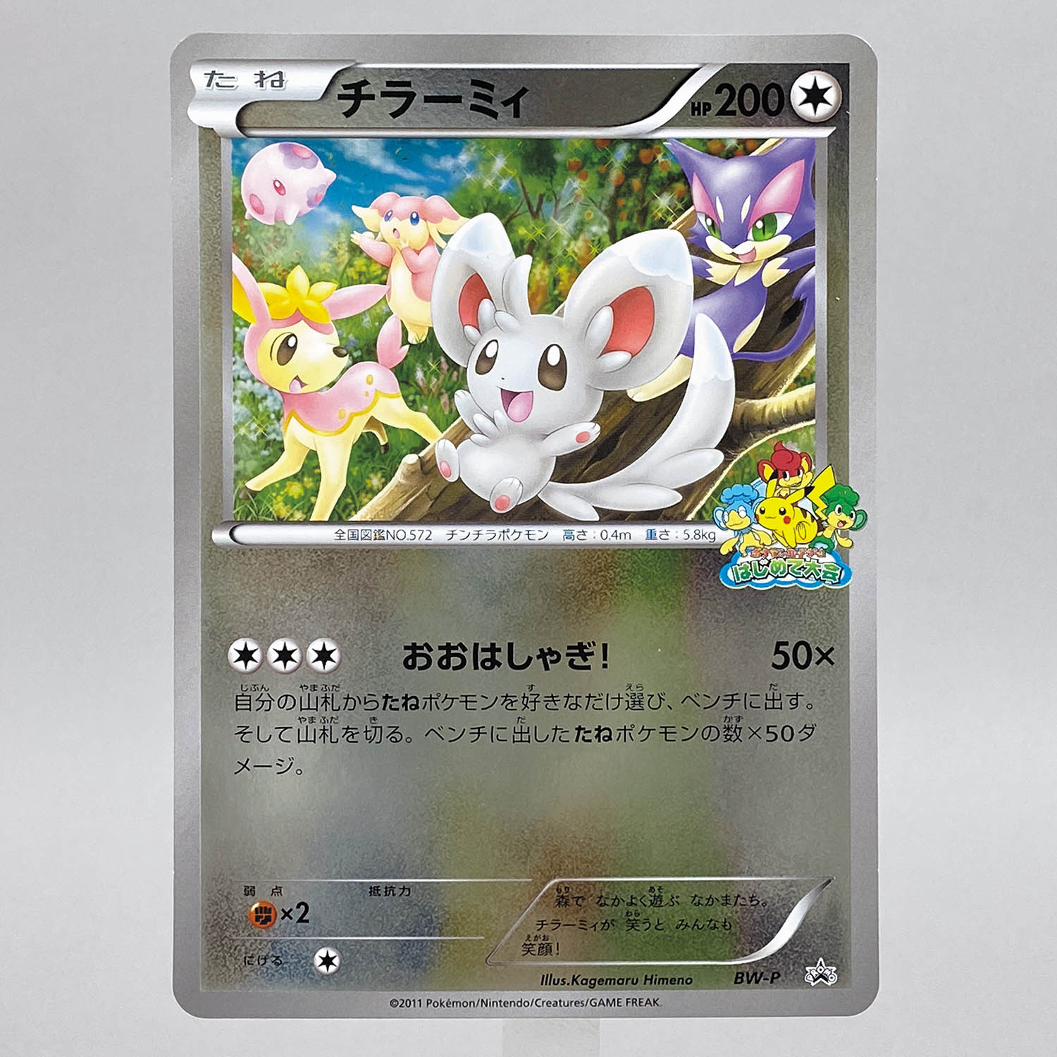 5070] ポケモンカード BW P チラーミィ ジャンボカード