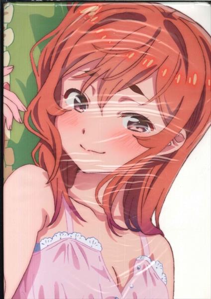 TBSグロウディア 彼女、お借りします 桜沢墨抱き枕カバー(Winter
