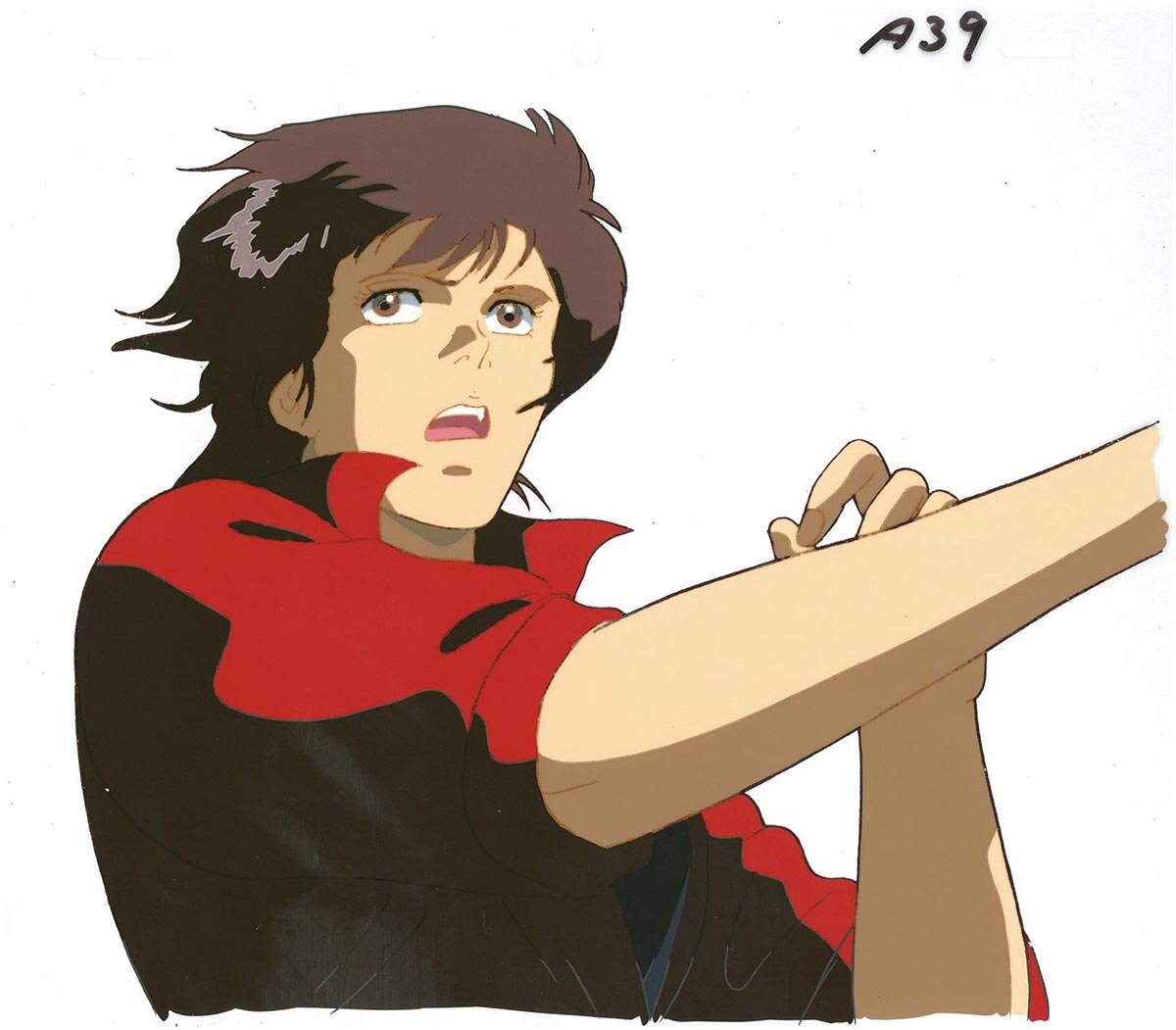 City Hunter — image 1 of 1