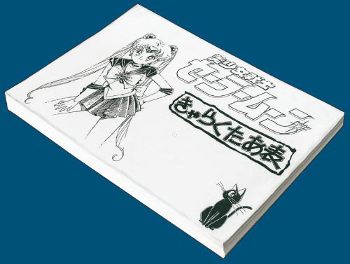 美少女戦士セーラームーン設定