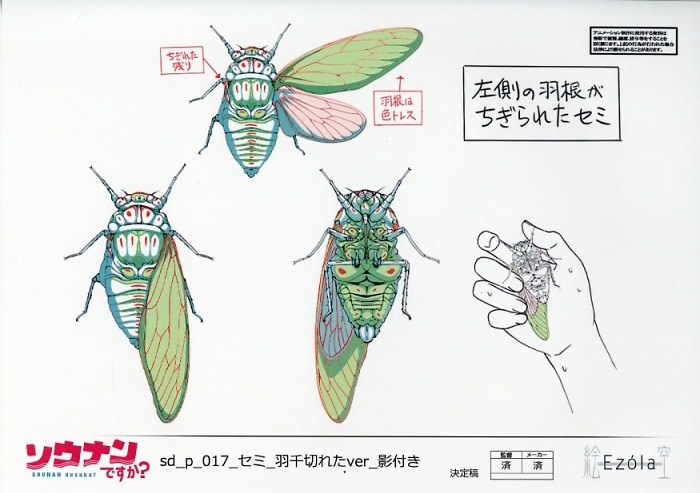 ソウナンですか？ 設定