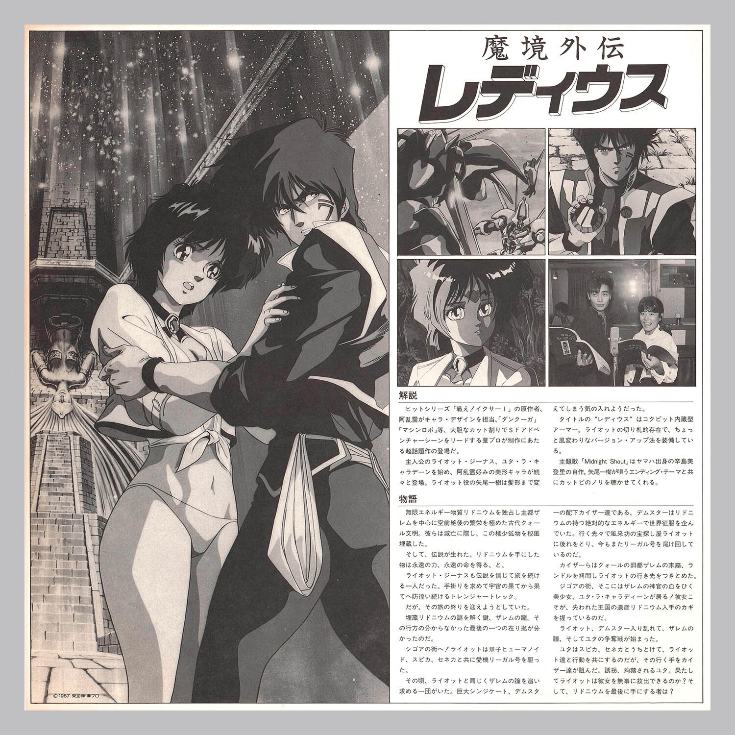 LD 阿乱霊 レーザーディスク 魔境外伝 レディウス