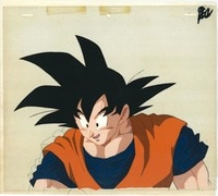 Item's picture