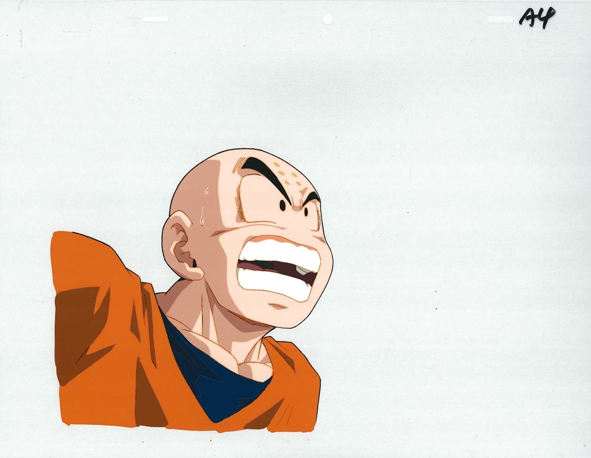 Dragon Ball Z — image 1 of 2