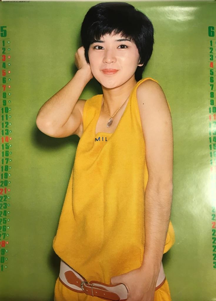 桜田淳子アイドル時代カレンダー 新品♥5月7日中迄限定特価 ビクター 1978年三大アイドルカレンダー（A2サイズ/ピンクレディー