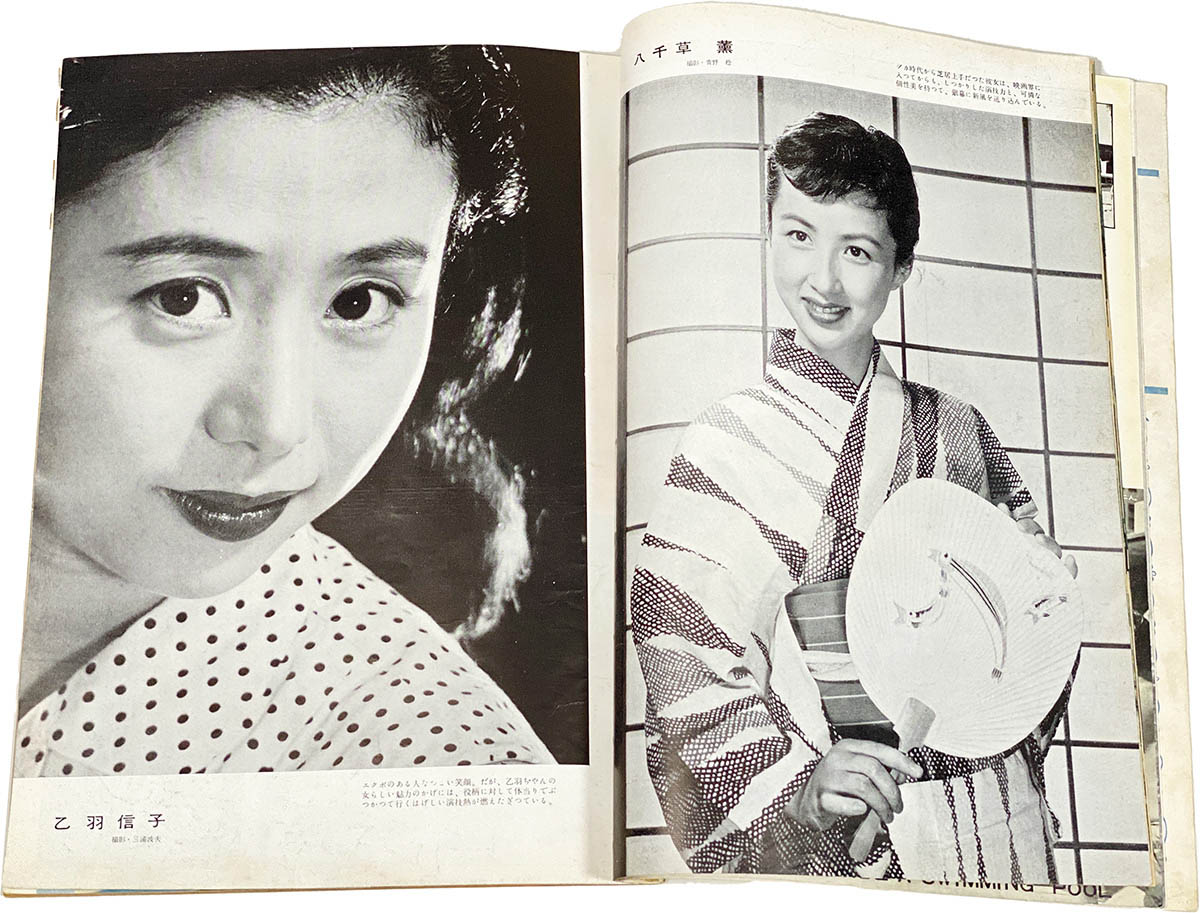 [9559] 国際文化情報社/「画報 近代映画 1954年8月号」