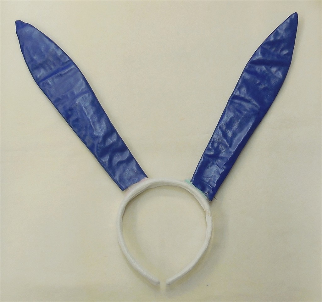 Item's picture