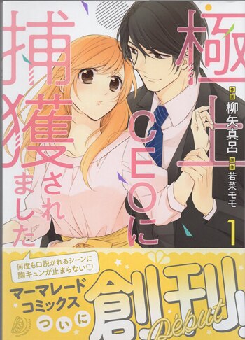 直筆イラストサイン本　恋獣。 パーフェクト弁護士に愛されまくりの毎日 直筆イラストサイン本 恋獣。 パーフェクト弁護士に愛されまくり