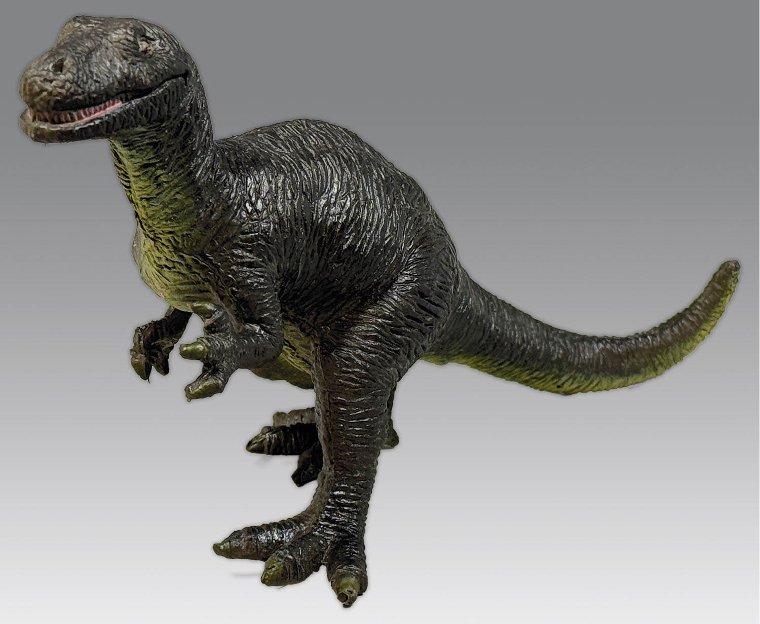 初売り 福袋 Rosasaurus 邦楽