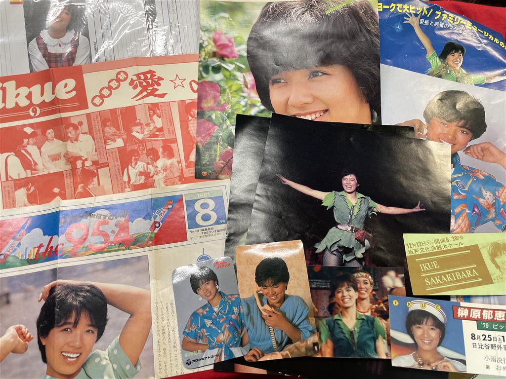 榊原郁恵グッズまとめセット 榊原郁恵グッズまとめセット 榊原郁恵