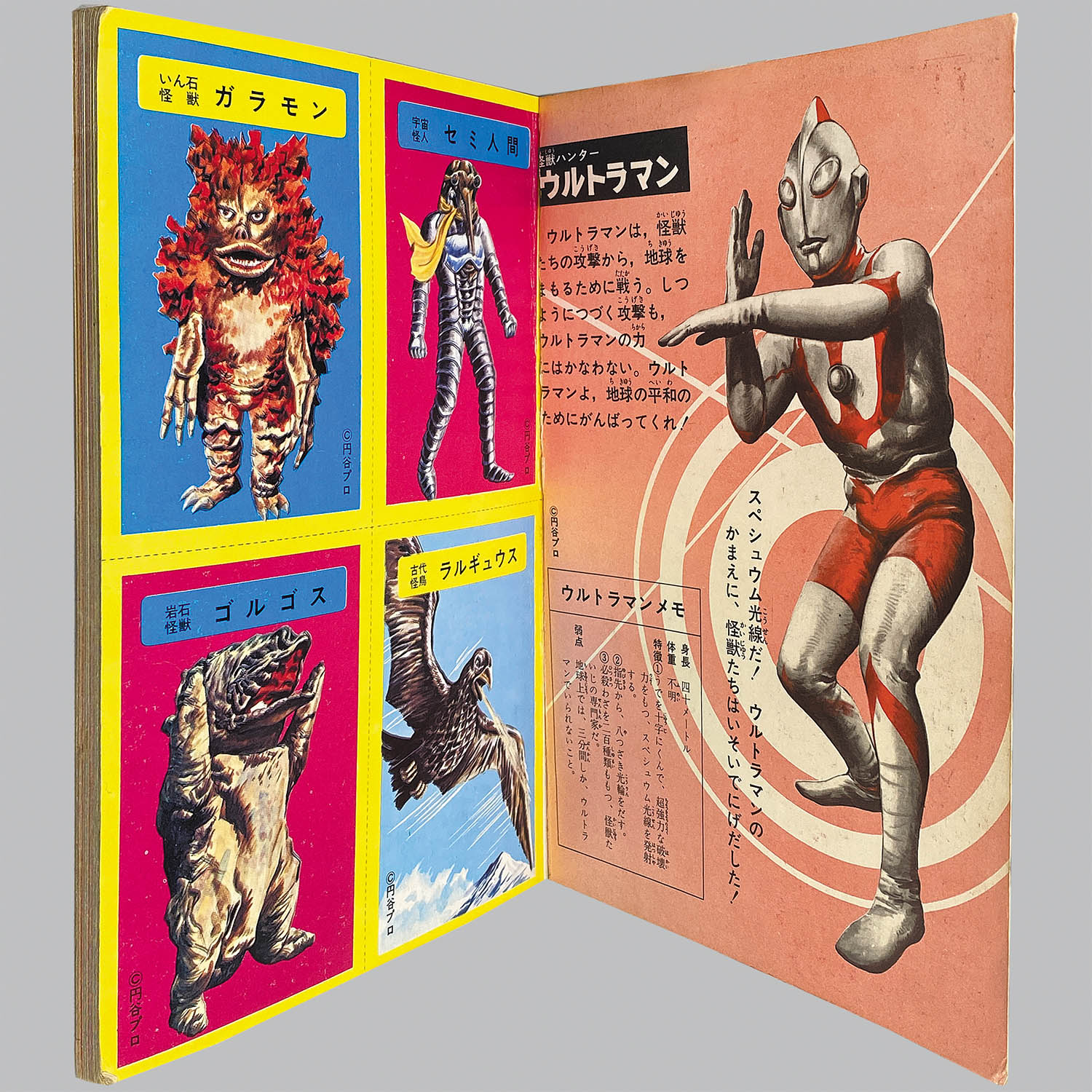 Item's picture