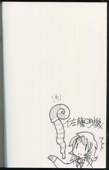 PG-8691]パラダイスバード・クロニクル 直筆イラストサイン本