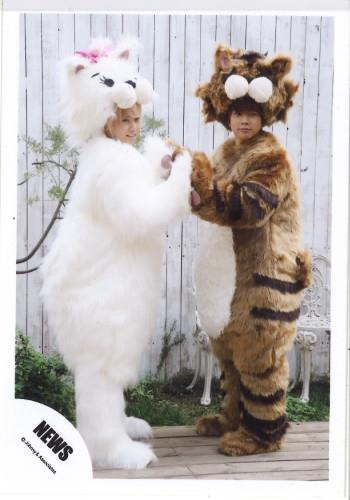テゴマス 猫中毒 集合写真