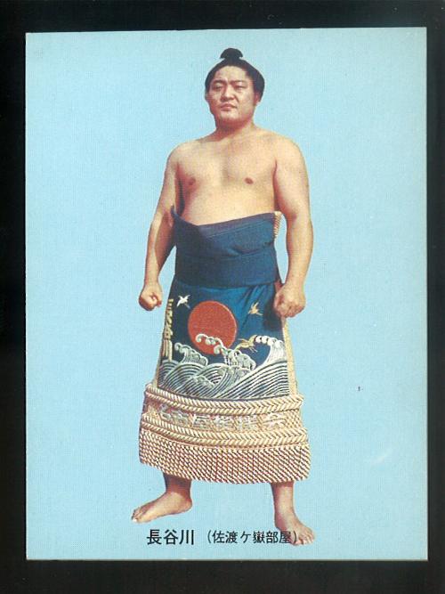 最高級 カルビー 大相撲カード 長谷川 1973年度版 スポーツ選手